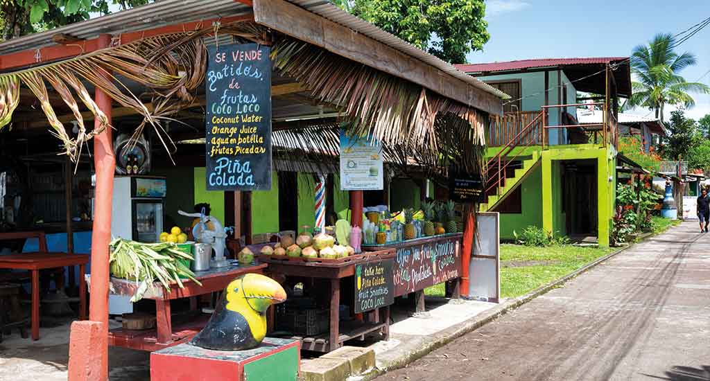 Echoppe de fruits frais (ananas, papaye, mangue etc) à Tortuguero au Costa Rica